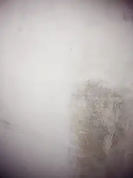 Pravin9562 웹캠 쇼