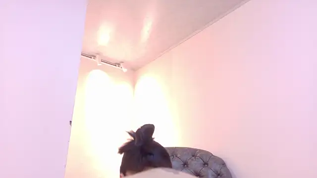 Živý XXX chat niky_smit