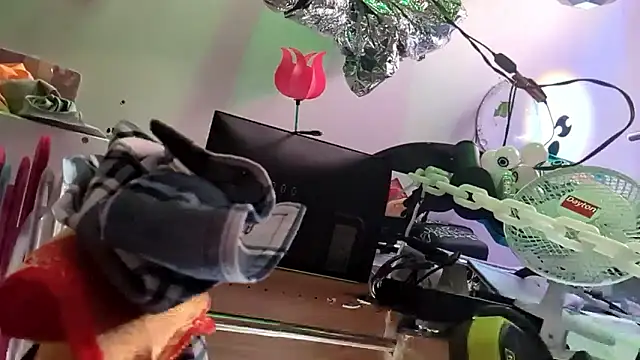 gurlnips webkamerás műsora