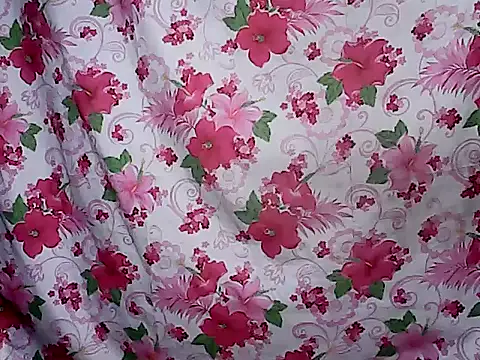 sh1nbae's Live XXX Chat