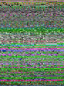 NaytonFreeman Adlı Modelin Canlı XXX Sohbeti