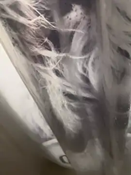 307daddyfucker's Live XXX Chat