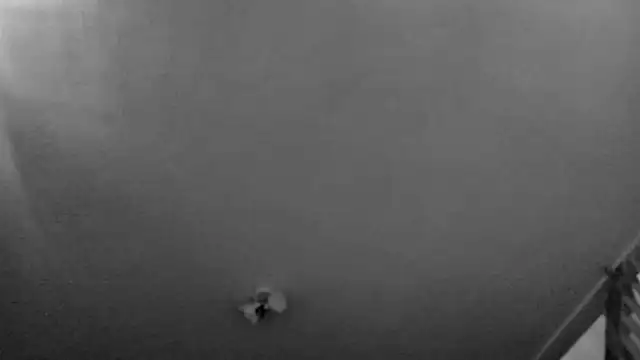 MasterDaddyCool 现场XXX聊天