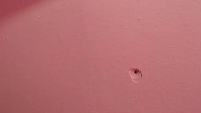 XXX chat uživo modela alaia_blue