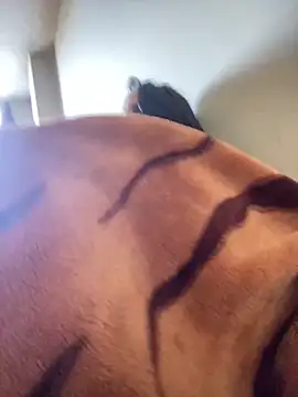 Lariquita Chat XXX live