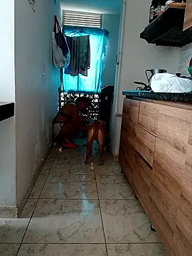 Chatroom XXX en direct de LEIRIS_Y_FRED_01