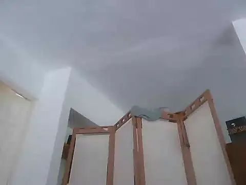 TheGirlWhoStandsUp Live XXX-Chat