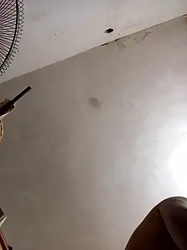 AlkalineCalmness 웹캠 쇼