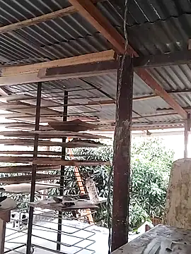 Chat XXX Live hoteder