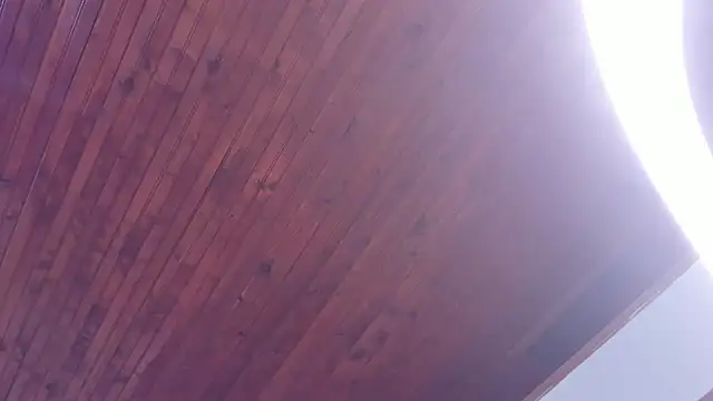 LeticiaHinkley: απευθείας συνομιλία ΧΧΧ