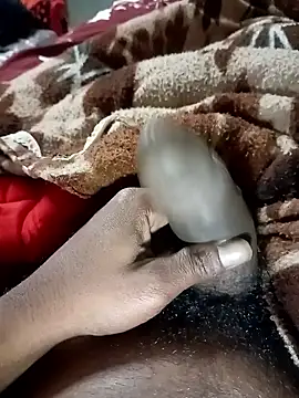 عرض كام Bengali_BULL1