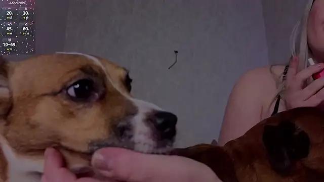 Chat XXX en directo de helen_frogg