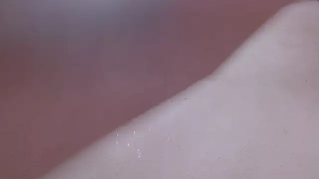 Stefany_wish's Live XXX Chat