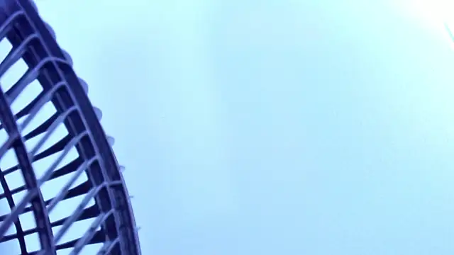 Czat XXX na żywo – Roy_fox_