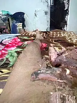 Chat XXX en directo de johny044