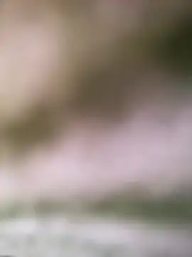 Pitercom's Webcam Show