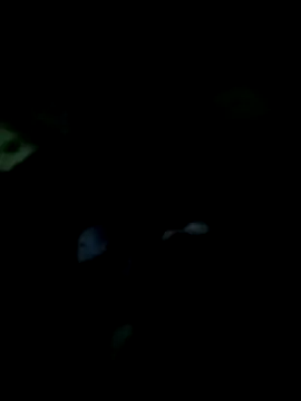 Chat XXX en directo de HerPleasure2025