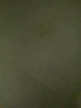 babyjessi 웹캠 쇼