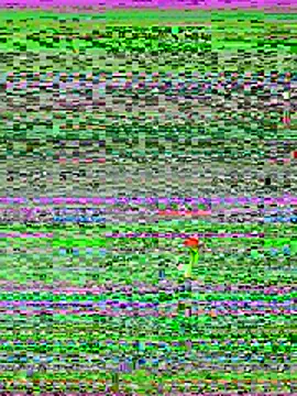 Chat XXX ao vivo de Lolavenezia