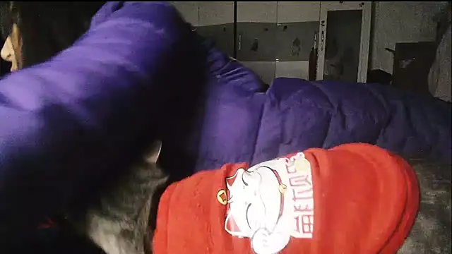 hebe-02's Webcam Show