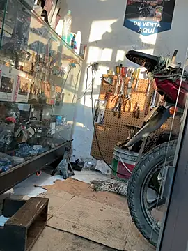 Czat XXX na żywo – Paul22cm-