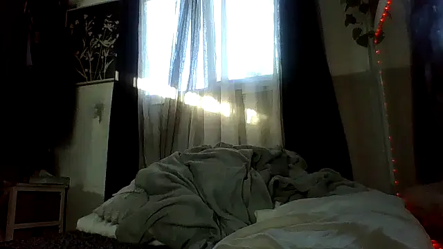 โชว์เว็บแคมของ B3toBaby