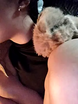 Show de Sinejdk3 na webcam