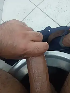 Stallionbull37 Webcam-Show