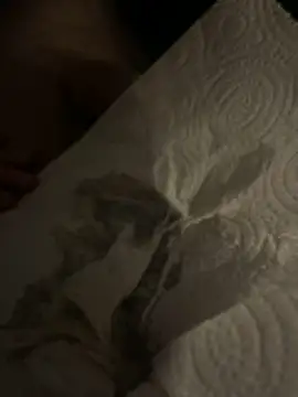 yrrkshw's Webcam Show