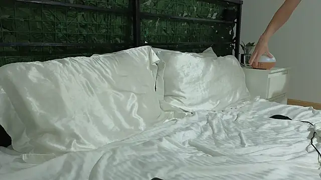 RyanStorm_ webkamerás műsora