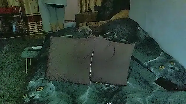 sex2's Live XXX Chat