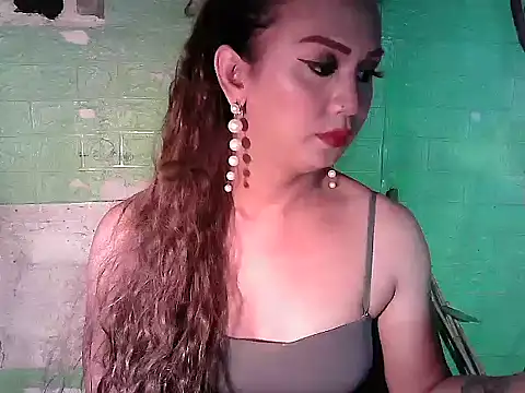 godescock's Webcam Show