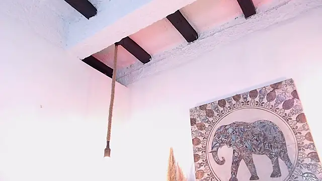 Doll4anall Webcam Show