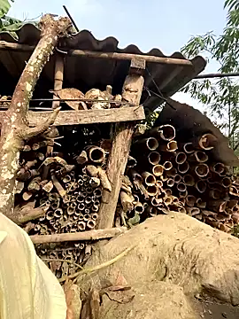 Chat +18 de kibennet ao vivo