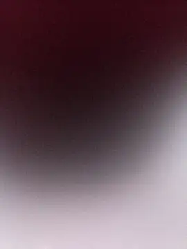 By_Aninhan Webbikameraesitys