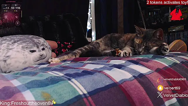 VelvetDiablo 即時 XXX 聊天