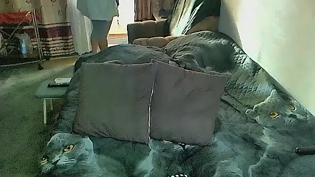 sex2 即時 XXX 聊天