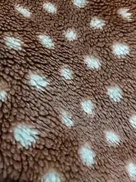 Bigdick_pedro Webcam-Show