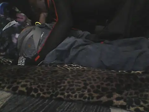 Show webcam de SideGhost