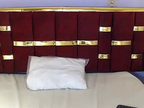 CATALINA_HIL9 Adlı Modelin Canlı XXX Sohbeti