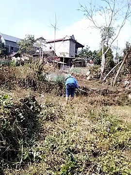 Chat XXX en directo de alycen