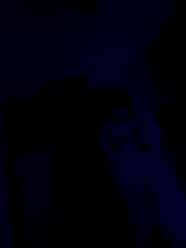 lokilf's Webcam Show