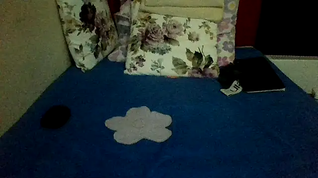 Chat +18 de st206boy ao vivo