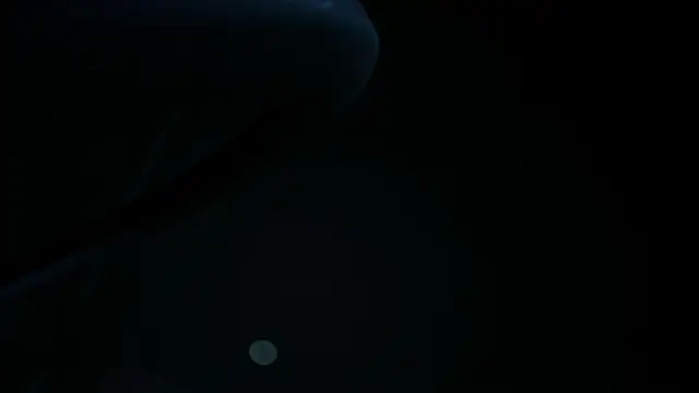 Chat XXX Live TyagoRoberts_