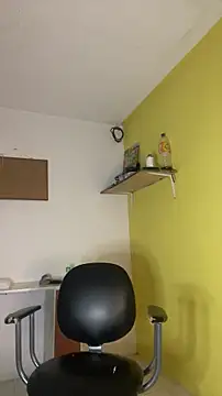 Webkamerová show thepicis