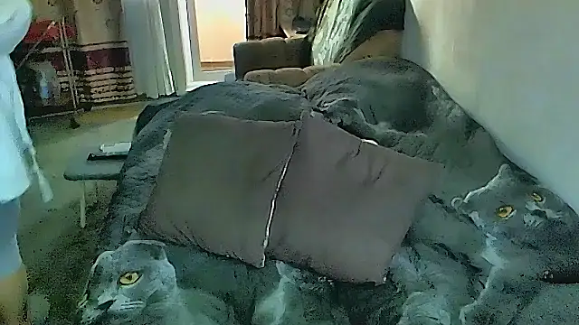 sex2's Live XXX Chat