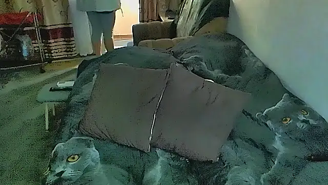 sex2 即時 XXX 聊天