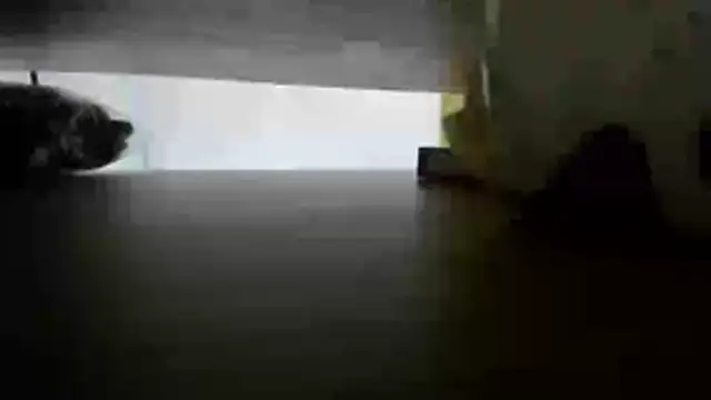 LIHIAN_TAY's Live XXX Chat