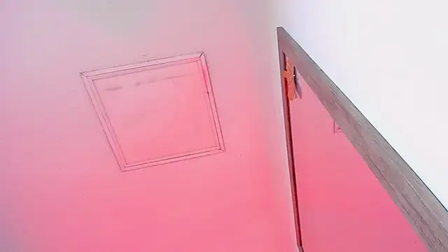 Tyler_durten Adlı Modelin Canlı XXX Sohbeti