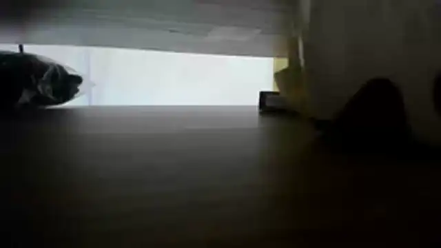 LIHIAN_TAYのウェブカメラショー